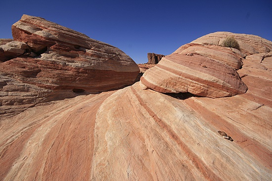 Valley of Fire Wave Valley of Fire Wave