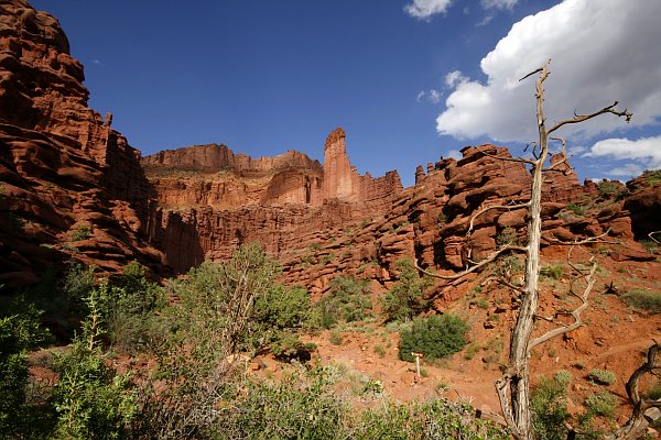 Fisher Towers Fisher Towers