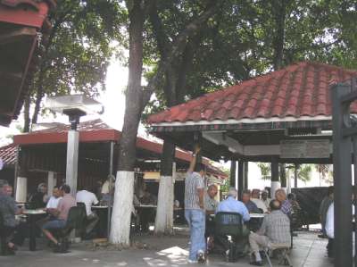 Domino Park Calle Ocho Domino Park Calle Ocho