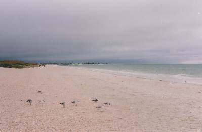 An einem der nichtsonnigen Tage war ich da.....