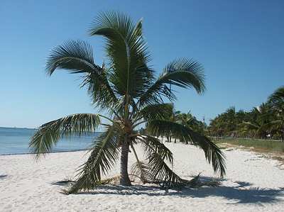 Smathers Beach Key West Smathers Beach Key West