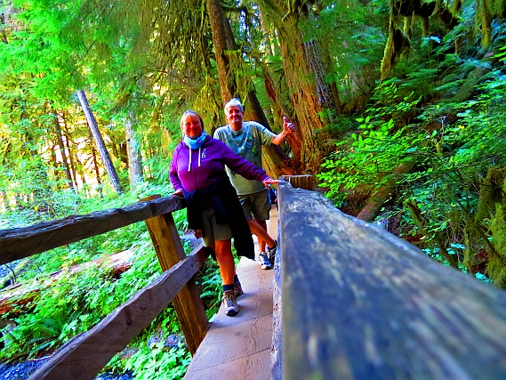 Brücke auf dem Weg zu den Marymere Falls Brücke auf dem Weg zu den Marymere Falls