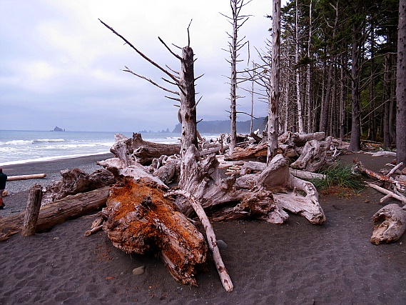 Rialto Beach Rialto Beach