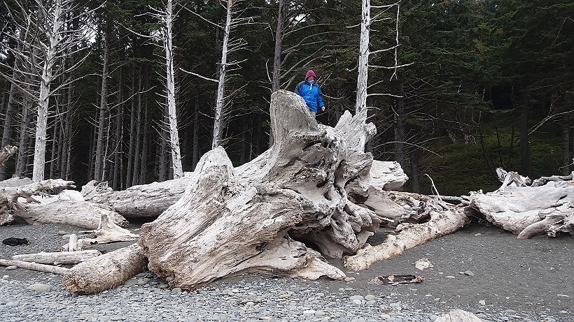 Rialto Beach