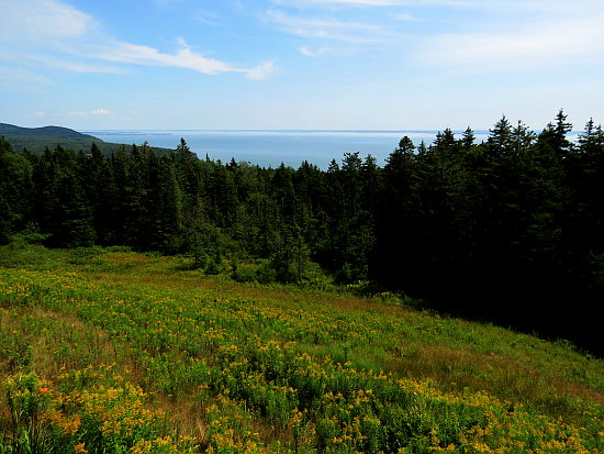 Fundy National Park