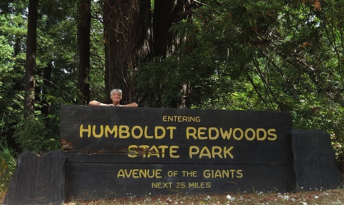 Humboldt Redwoods State Park - Avenue of the GIants