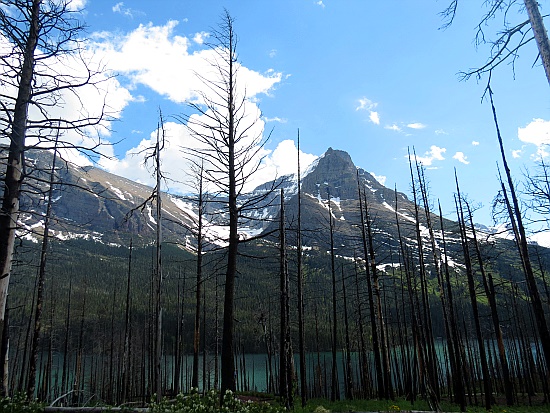 Glacier National Park - Glacier National Park -