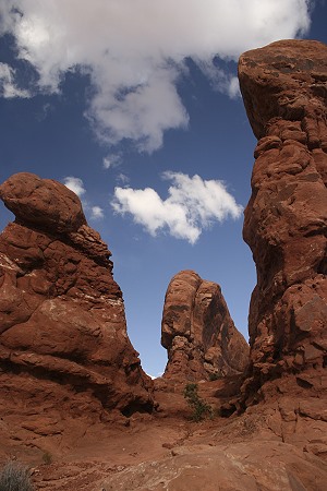 Garden of Eden - Arches Park