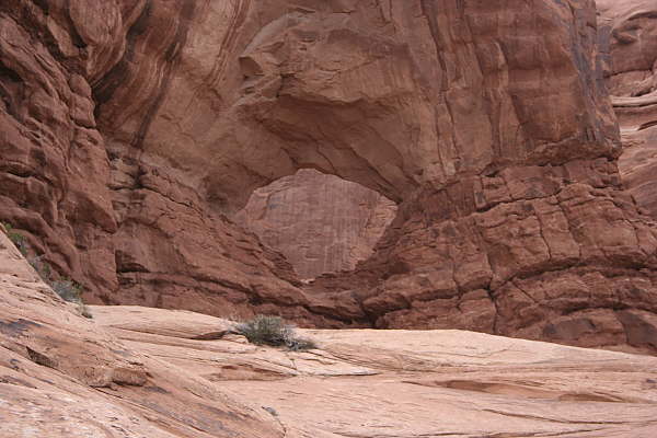 Cove Arch