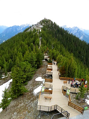 Sulphur Mountain - Boardwalk Sulphur Mountain - Boardwalk