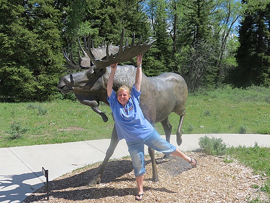 Grand Teton National Park Visitor Center - ein Elch und eine Uli Grand Teton National Park Visitor Center - ein Elch und eine Uli