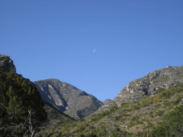 Guadelupe Mountains