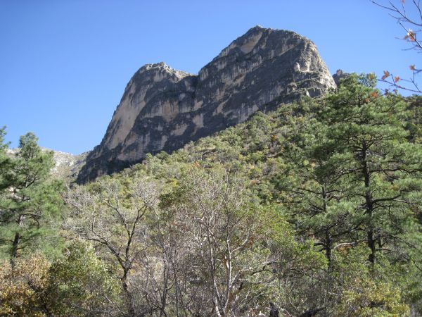 Guadelupe Mountains