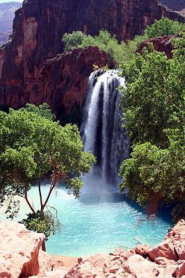 Havasu Falls Havasu Falls