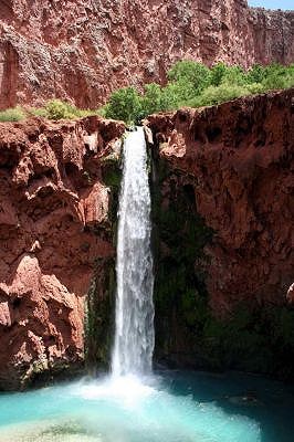 Havasu Falls Havasu Falls