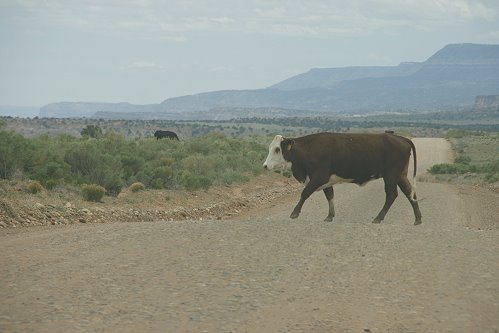 Hole in the Rock Road