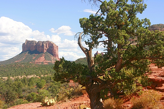 Sedona