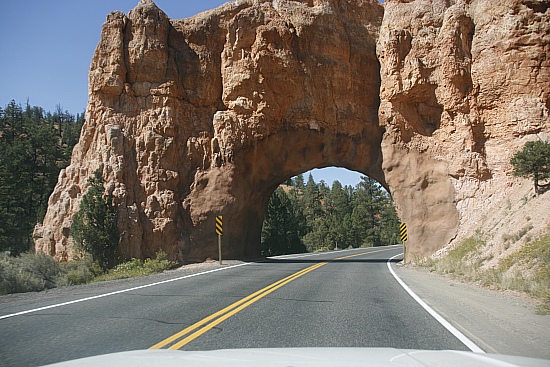 Red Canyon Red Canyon