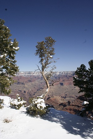 Grand Canyon