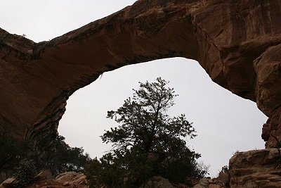 Natural Bridges National Monument