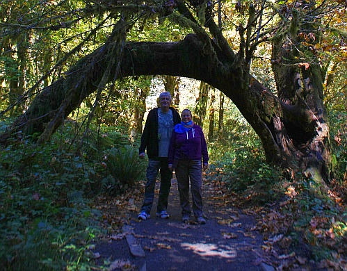 Hoh Rain Forest Hoh Rain Forest