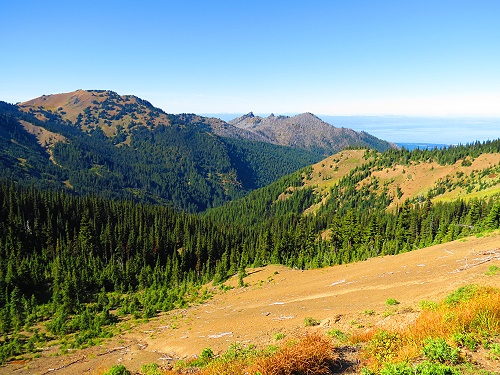 Hurricane Ridge