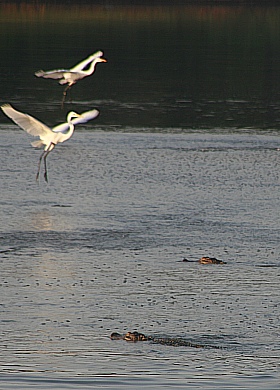 Huntington Beach State Park