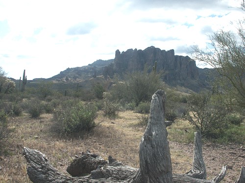 Blick auf die Superstitious Mountains