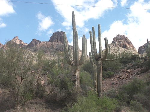 Apache Trail