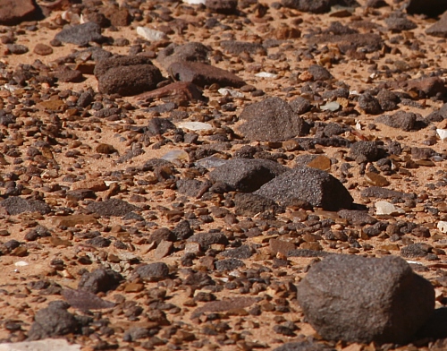 Ein paar Moki Marbles und evtl auch ein paar ehemalige Speerspitzen sind zu entdecken. Ein paar Moki Marbles und evtl auch ein paar ehemalige Speerspitzen sind zu entdecken.