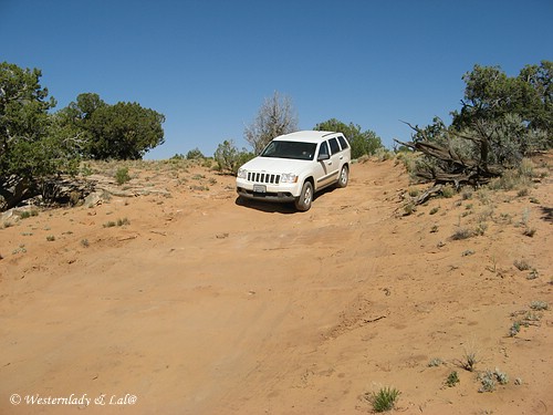 Jeep Grand Cherokee 2008 Jeep Grand Cherokee 2008