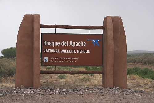 Bosque del Apache