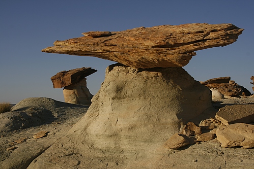 Stud Horse Point