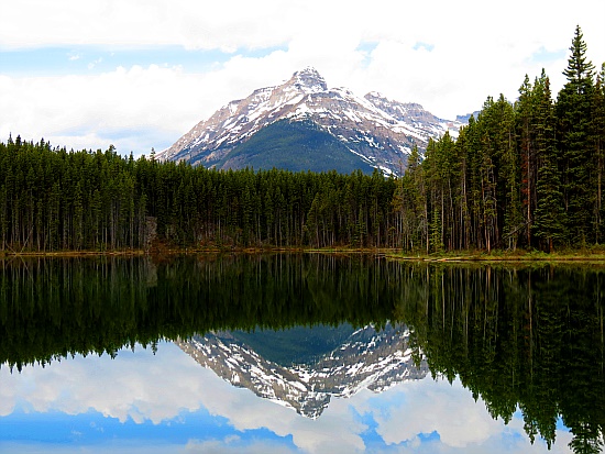 Herbert Lake Herbert Lake