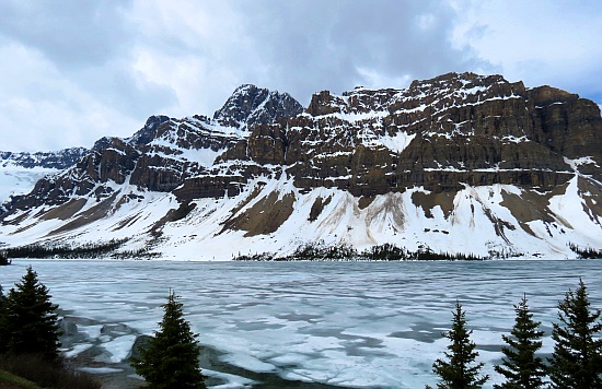 Bow Lake Bow Lake