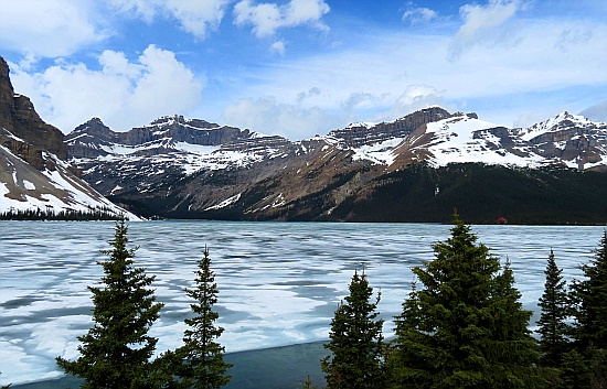 Bow Lake Bow Lake
