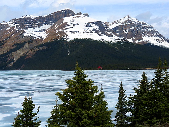 Bow Lake Bow Lake