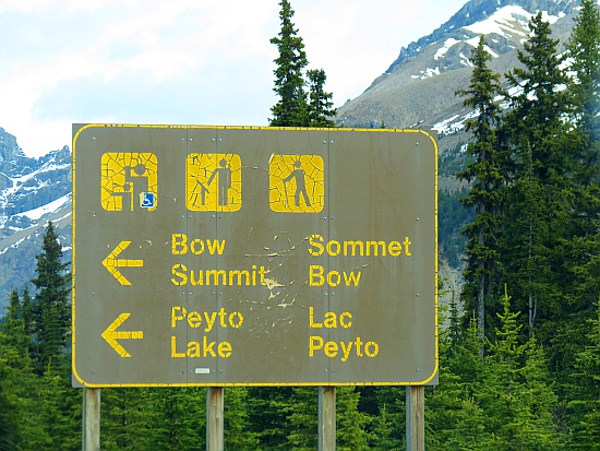 Bow Summit / Peyto Lake Bow Summit / Peyto Lake