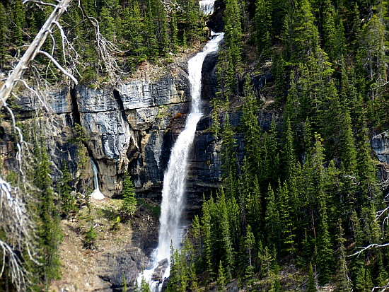 Icefield Parkway - Bridal Veil Falls Icefield Parkway - Bridal Veil Falls