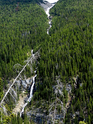 Icefield Parkway - Bridal Veil Falls Icefield Parkway - Bridal Veil Falls