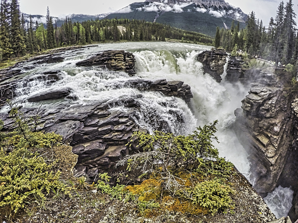 Athabasca Falls