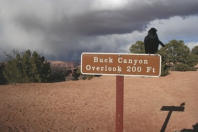 Canyonlands