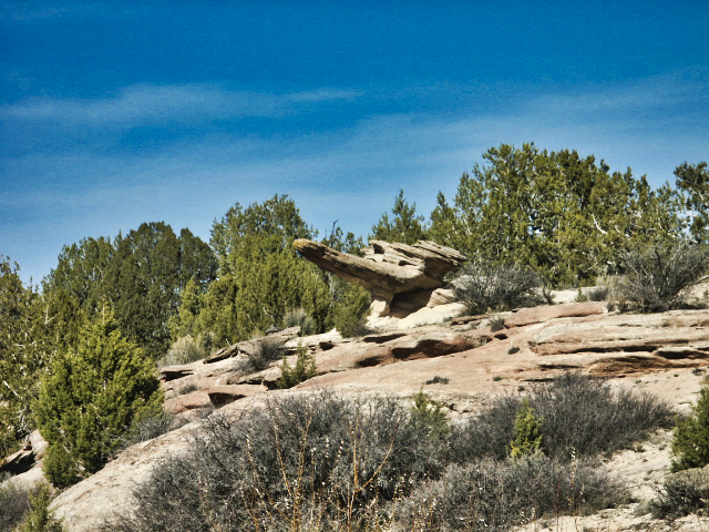 Johnson Canyon