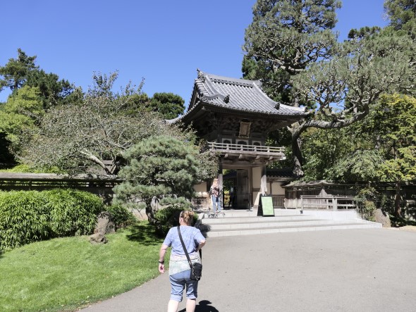 Japanese Tea Garden San Francisco