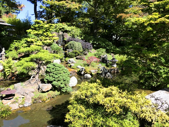 Japanese Tea Garden San Francisco