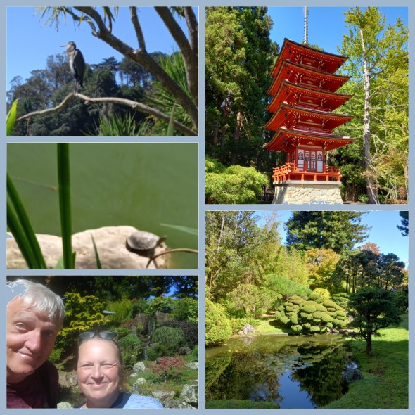 Japanese Tea Garden San Francisco