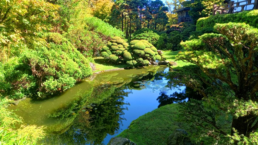 Japanese Tea Garden San Francisco