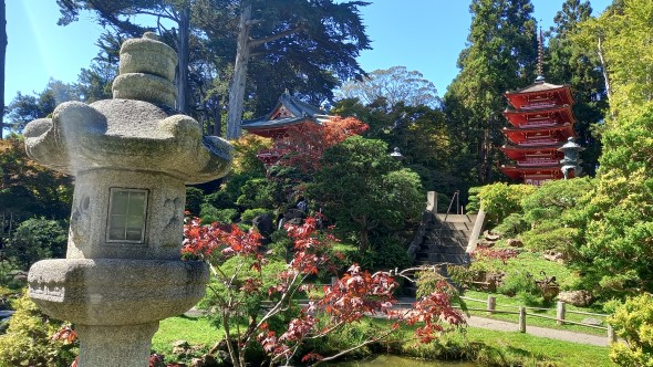 Japanese Tea Garden San Francisco