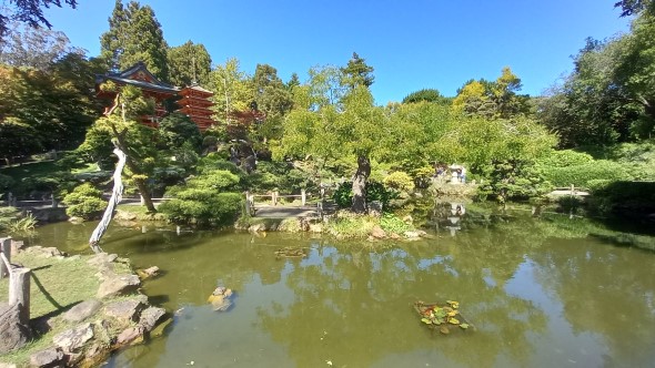 Japanese Tea Garden San Francisco