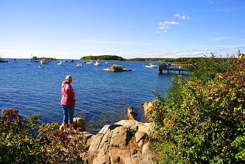 Cape Purpoise